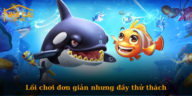 Khám phá thế giới bắn cá tại Nhà Cái Số