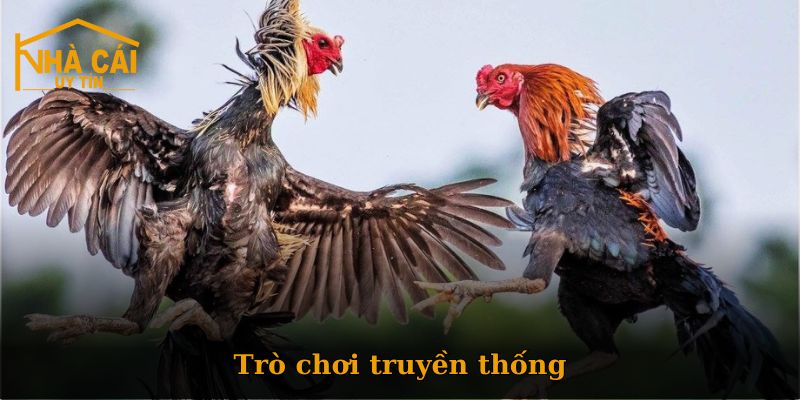 Đá gà nhacaiso – nơi hội tụ đỉnh cao giải trí