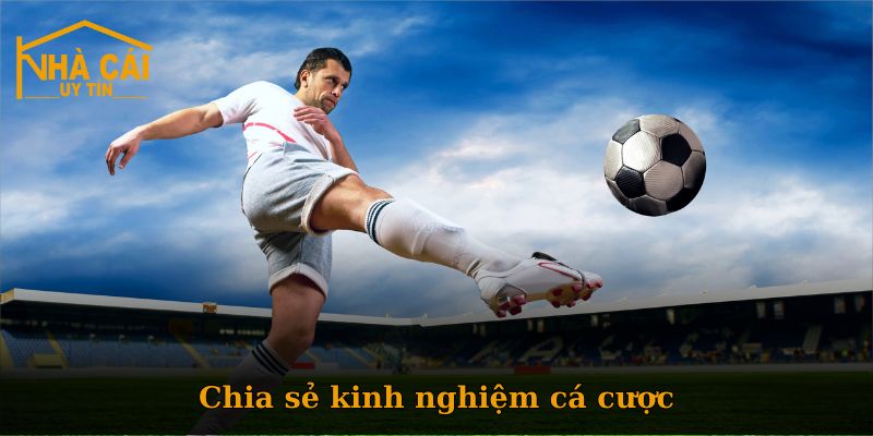Vì sao Nhà cái số trở thành lựa chọn hàng đầu của người chơi