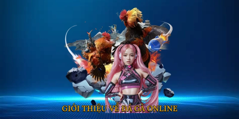 Giới thiệu về đá gà online